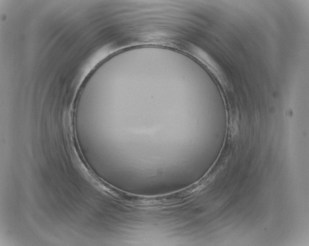 X0000081281291200701251618