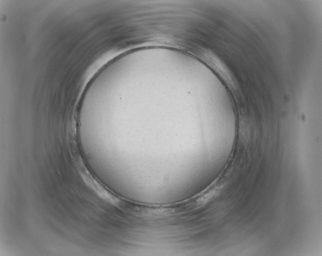 X0000081281292200701251618