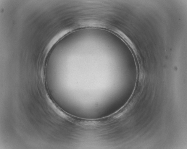 X0000081281293200701251618