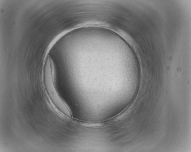 X0000081281296200701251618