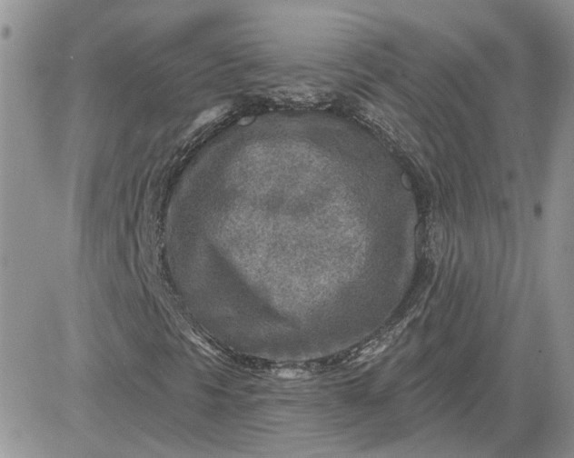 X0000081281297200701251617