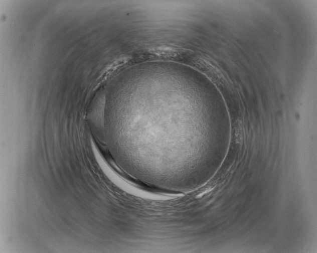 X0000081281298200701251617