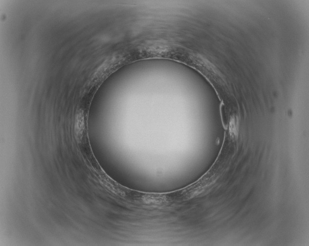 X0000081281299200701251617