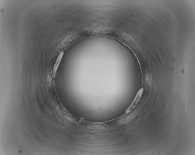 X0000081281300200701251617