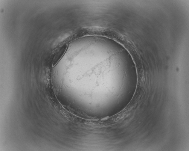 X0000081281301200701251617