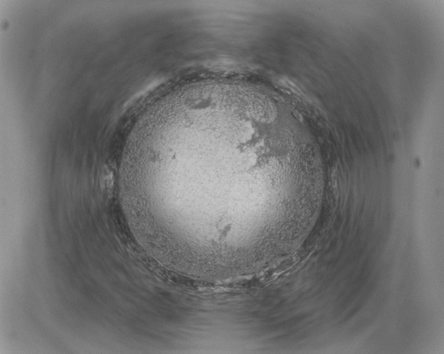 X0000081281302200701251617