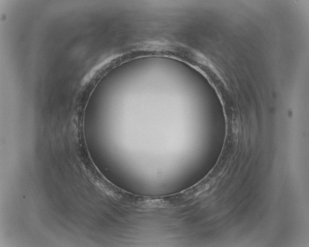 X0000081281304200701251618