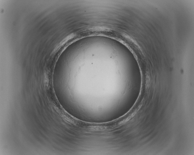 X0000081281305200701251618