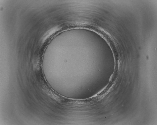 X0000081281306200701251618