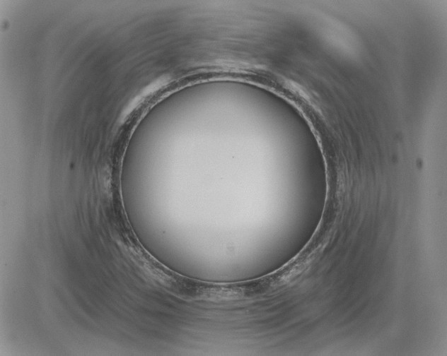 X0000081281307200701251618