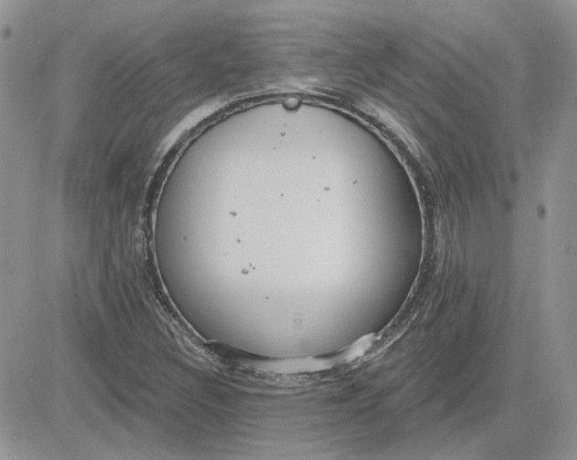 X0000081281308200701251618