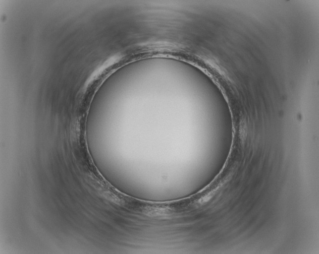 X0000081281309200701251618