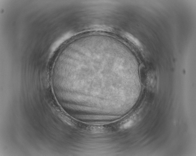 X0000081281310200701251618