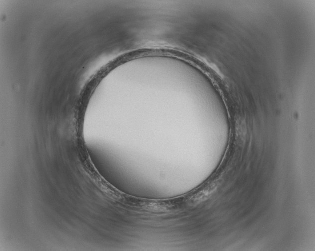 X0000081281311200701251618