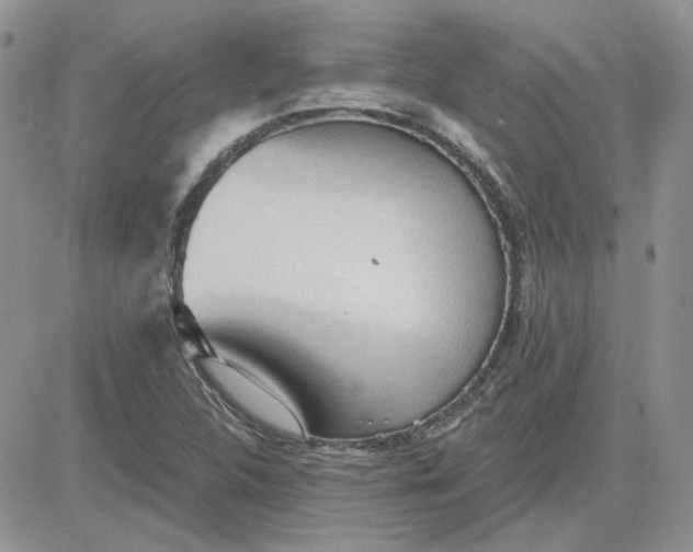 X0000081281312200701251618