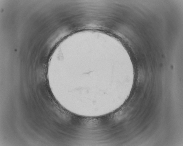 X0000081281314200701251618