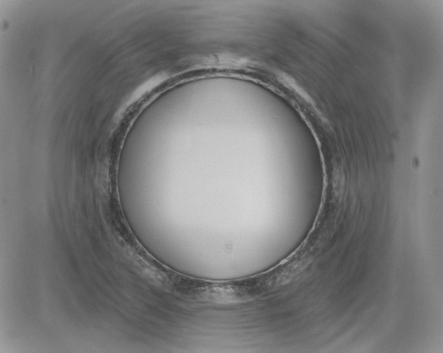 X0000081281315200701251618