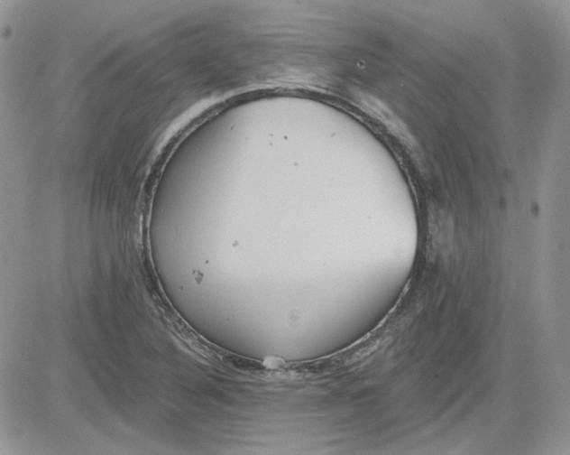 X0000081281316200701251618