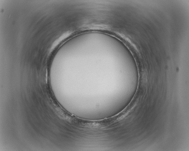 X0000081281317200701251618