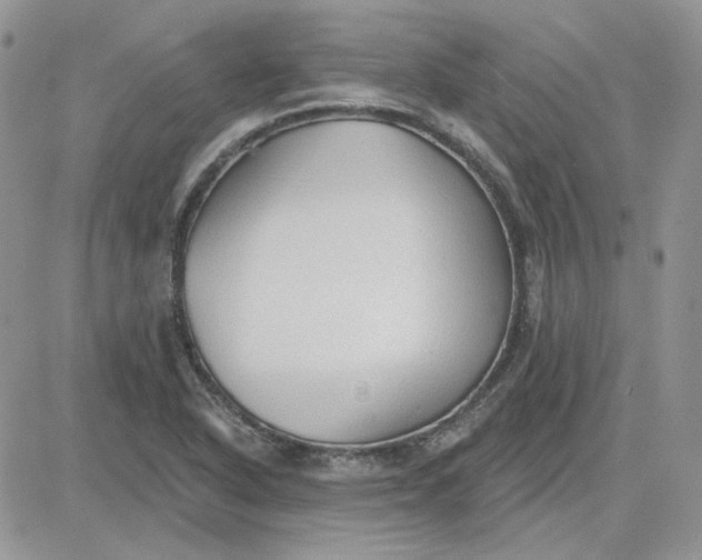 X0000081281318200701251618