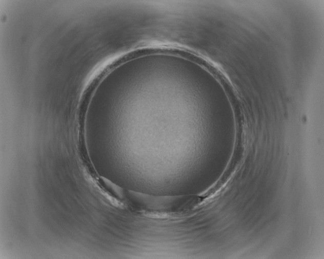 X0000081281319200701251618