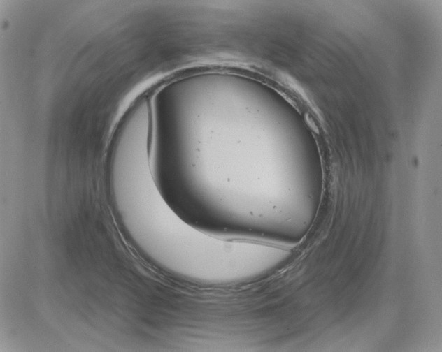 X0000081281320200701251618