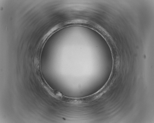 X0000081281321200701251618