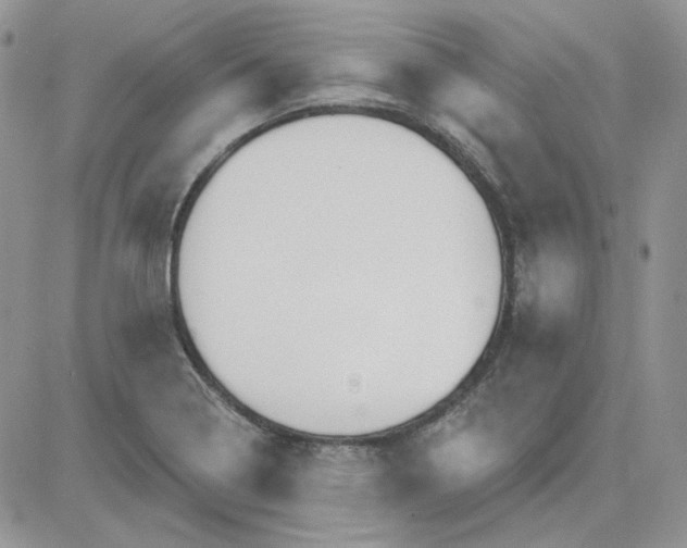 X0000081281322200701251618