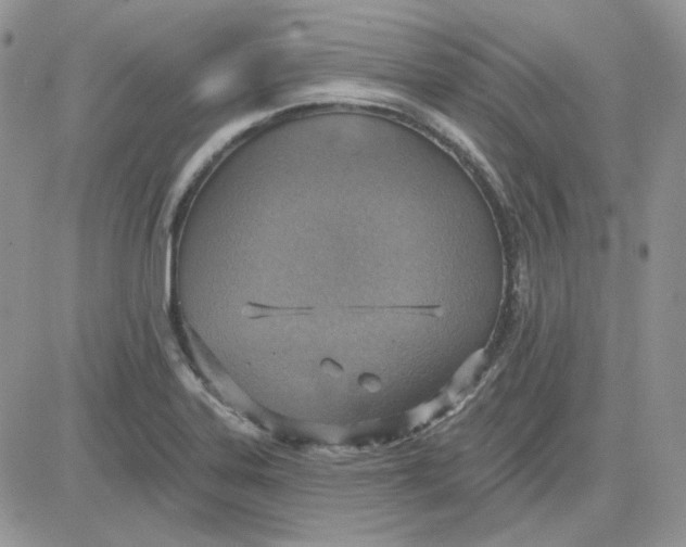 X0000081281323200701251618