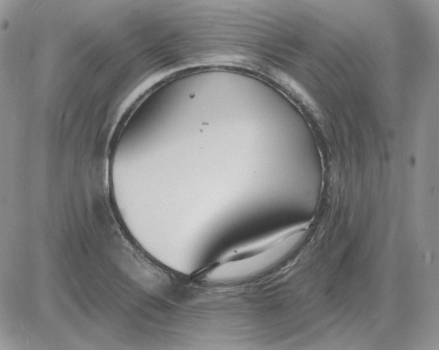 X0000081281324200701251618