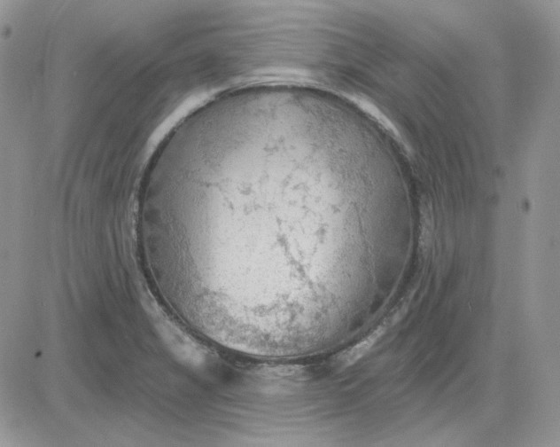 X0000081281325200701251618