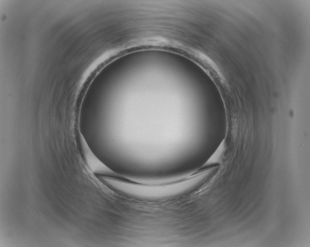 X0000081281326200701251618