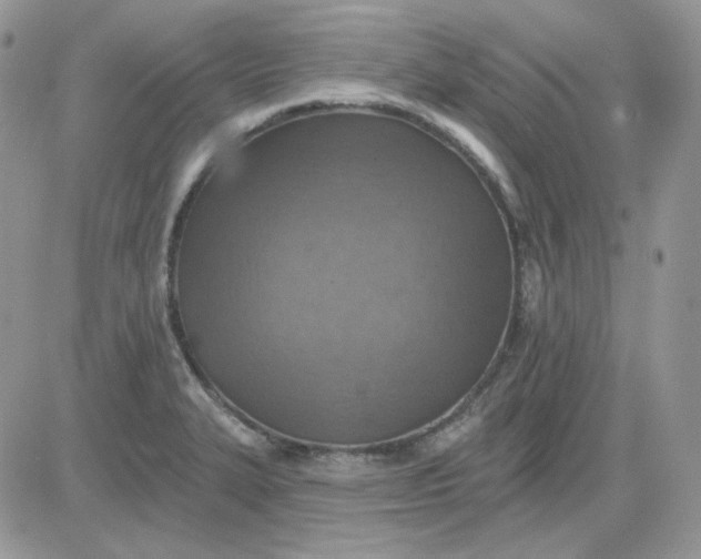 X0000081281327200701251618