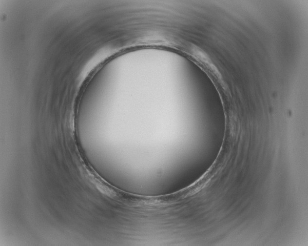 X0000081281328200701251618