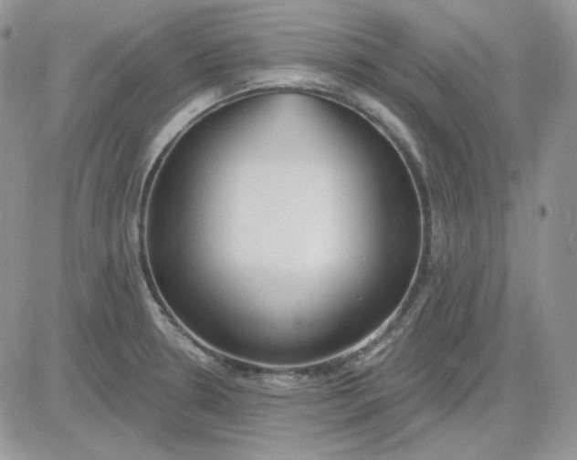 X0000081281330200701251618