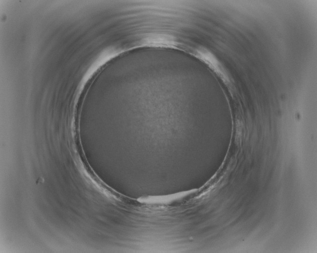 X0000081281331200701251618