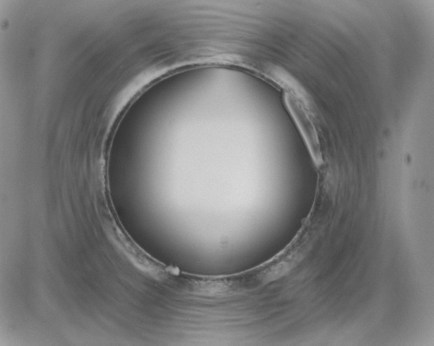 X0000081281332200701251618