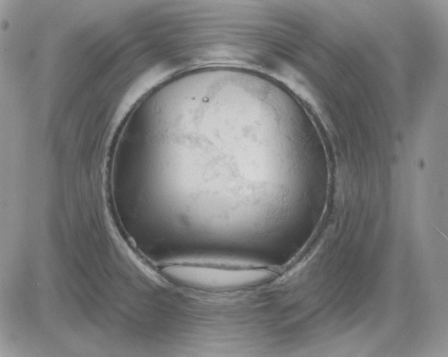 X0000081281333200701251618