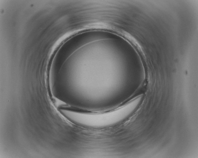 X0000081281334200701251618