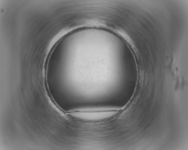 X0000081281335200701251618