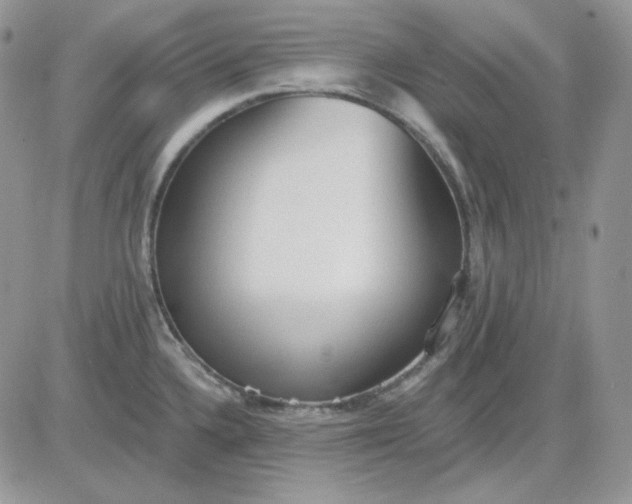 X0000081281336200701251618