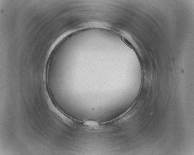 X0000081281339200701251618