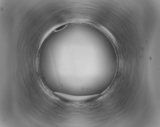 X0000081281340200701251618