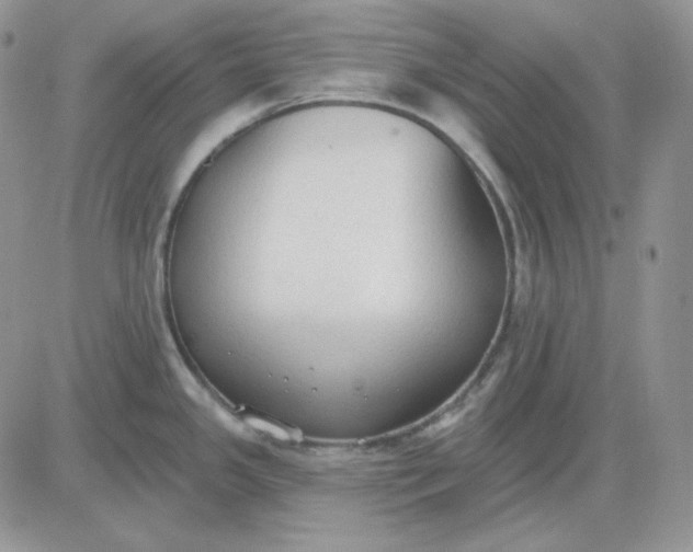 X0000081281341200701251618