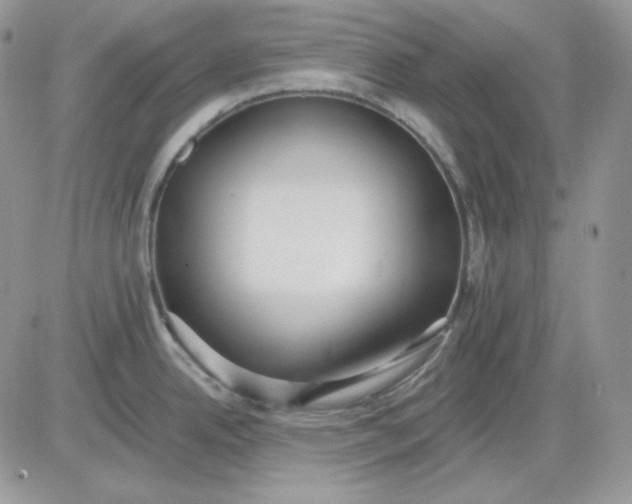 X0000081281342200701251618