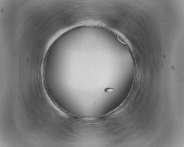 X0000081281343200701251618