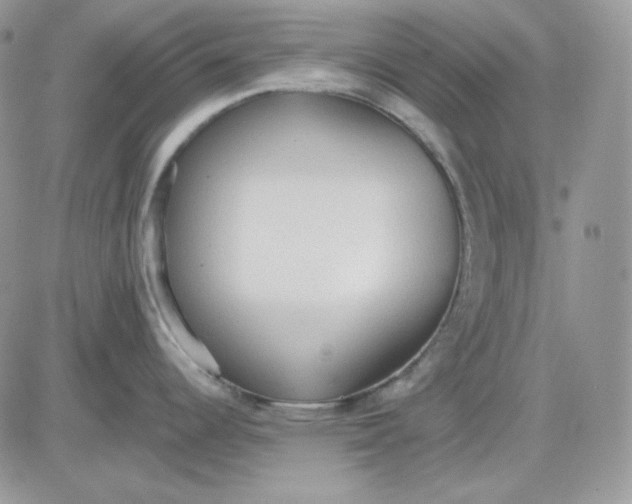 X0000081281344200701251618