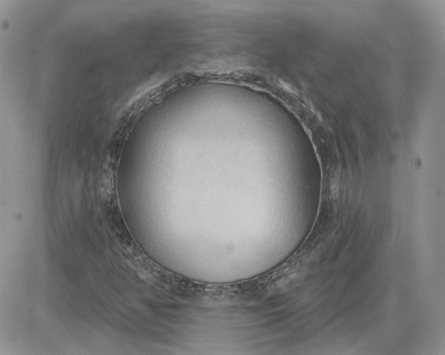 X0000081281350200701251617