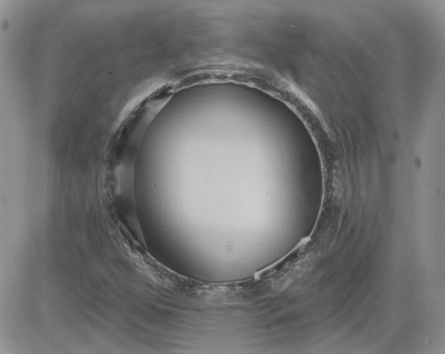 X0000081281352200701251617