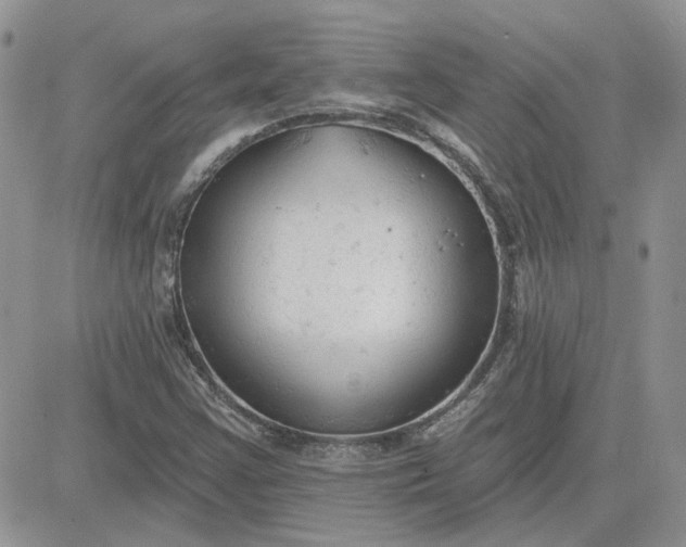 X0000081281355200701251617